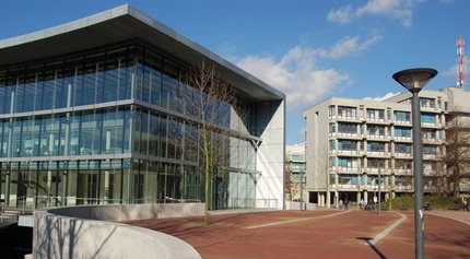 Masters in Business Administration at Düsseldorf Business School